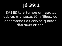 JO (39).ppt
